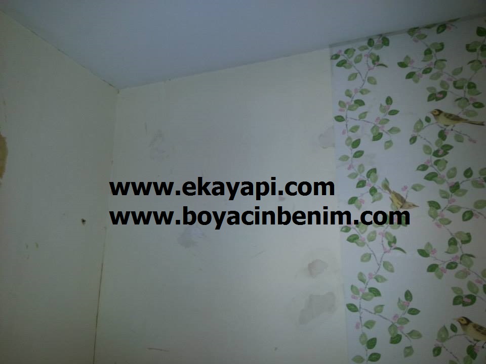 Boyacı Duvar Kağıdı Ustası Soğanlı